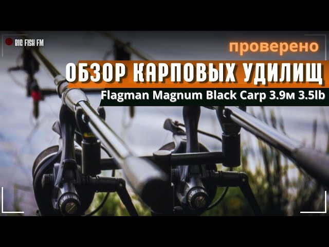 Карповое удилище Flagman Magnum Black Carp 3.9м 3.5lb #карп #fishing #youtube #carplife #carp #fish