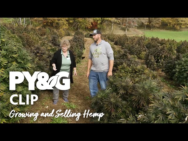 Growing and Selling Hemp | Prairie Yard & Garden 3712