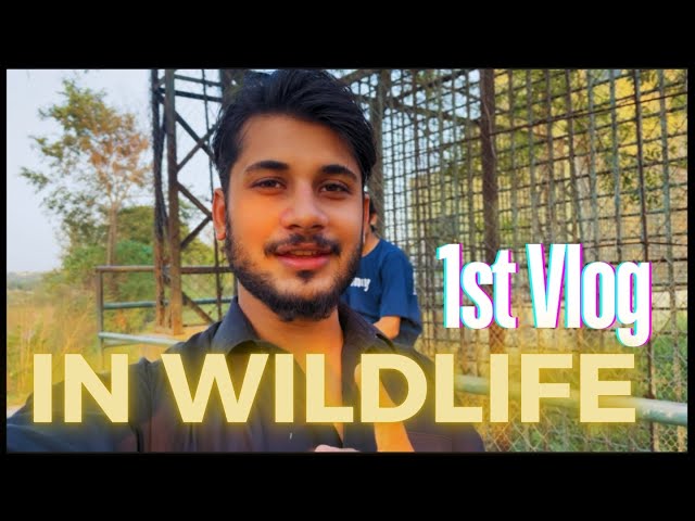 Our First Vlog 😍 | In WildLife