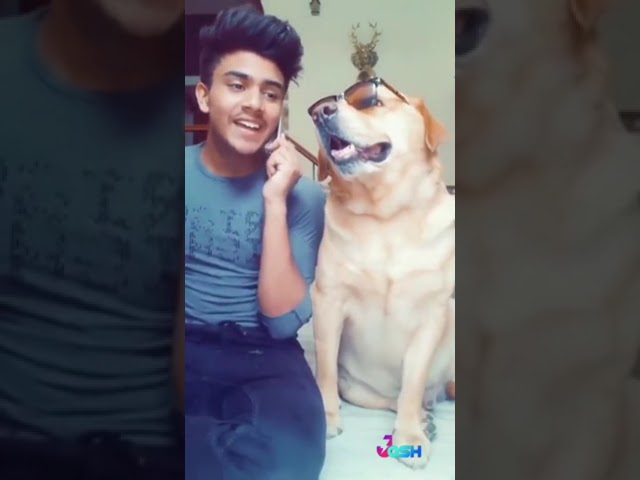 ये नहीं देखा तो 🥵 कुछ नहीं देखा!//tik tok funny videos ||tik tok ||funny meams||meams