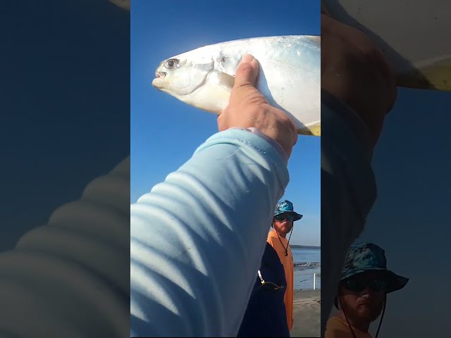 Georgia State Record Pompano Caught by Florida Woman 2022 #fish #fishing