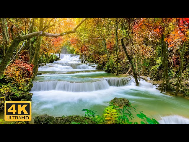 Beautiful Relaxing Music Stop Overthinking & Relieve Stress Calming Sleep Music