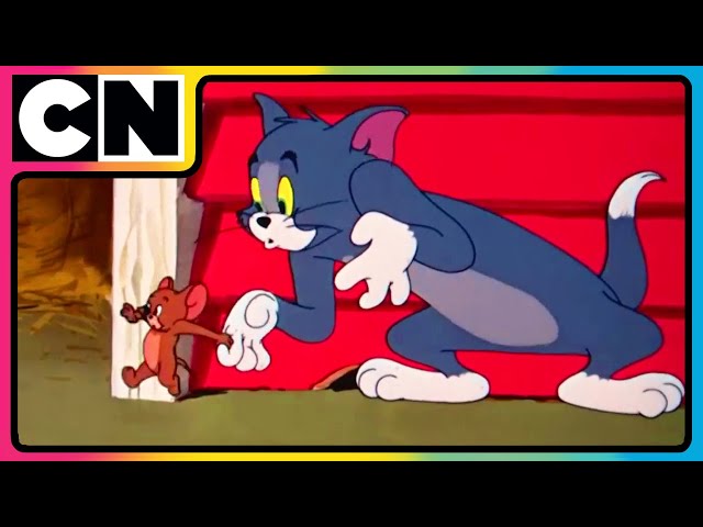 Tom and Jerry 😺🐭| Double the Trouble, Double the Fun! 🕶️ | Compilation | 90s cartoons | @cnindia