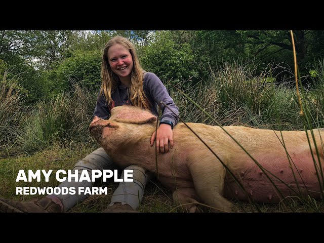 Wise Farmers: Amy Chapple (Redwoods Farm)