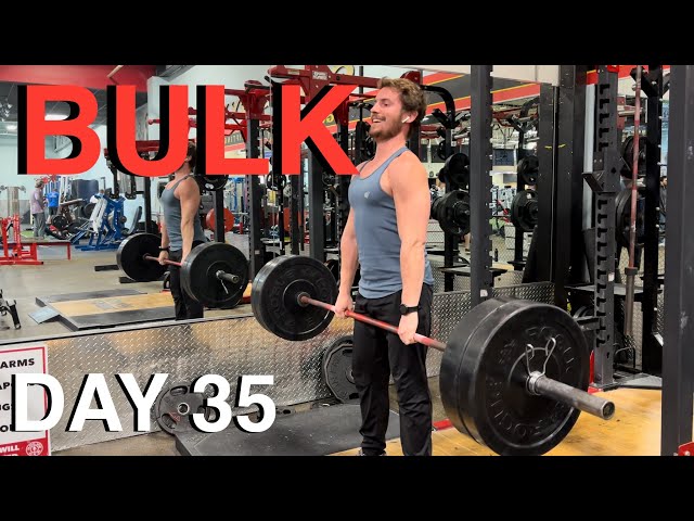 Bulk Day 35 - Meals & Exercises