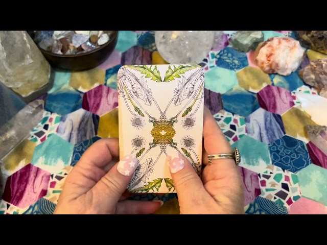 Deck Walk through of the Hedgewitch Botanical Oracle Cards by Siolo Thompson