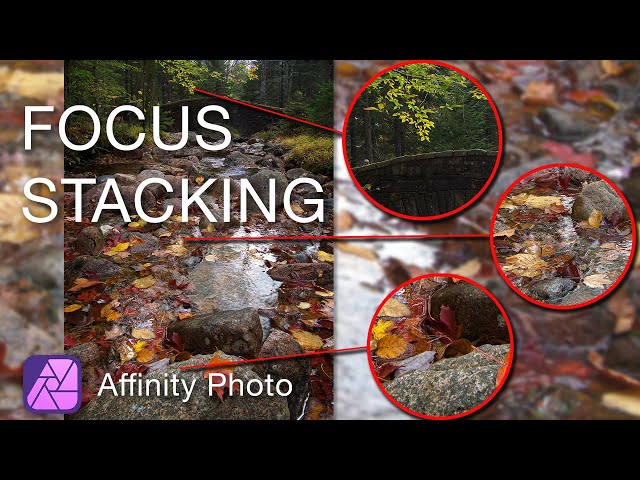 Focus Stacking In Affinity Photo