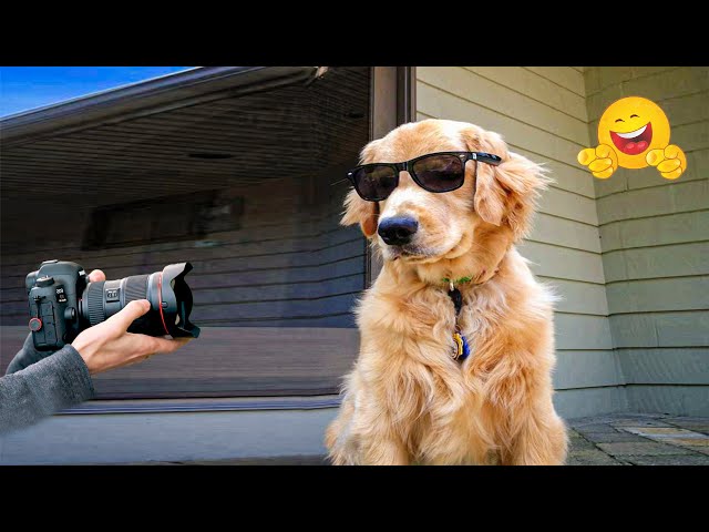 Smarty Funny Animal Video Clips 🐾Funniest Cat & Dog Moments Ever Recorded.