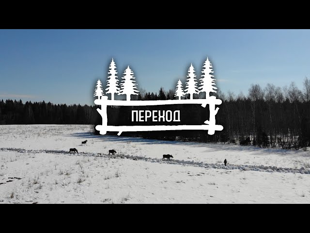 фильм "Переход"