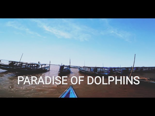 CHILIKA - SATAPADA THE PARADISE OF DOLPHINS | SATAPADA CHILIKA |BHUBANESWAR