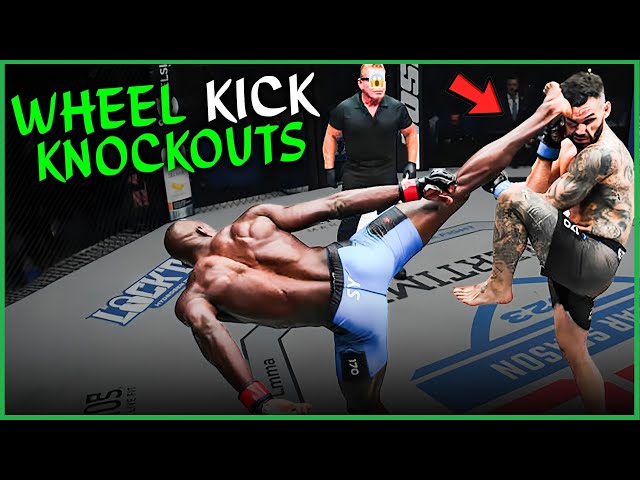 Spinning Round House Knockout Kicks (Scary KOs)