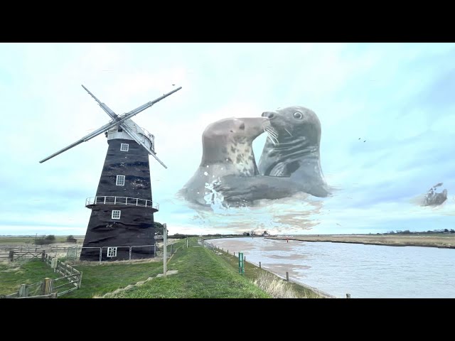 The Amazing Wildlife and Windmills of the Norfolk Coast.