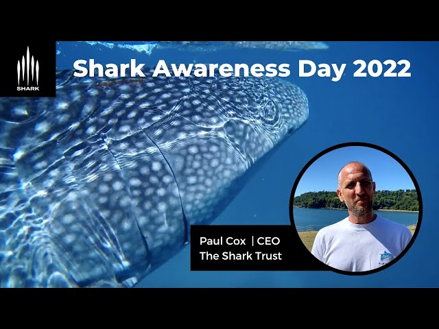 Shark Awareness Day 2022 / An interview with Paul Cox, CEO of The Shark Trust