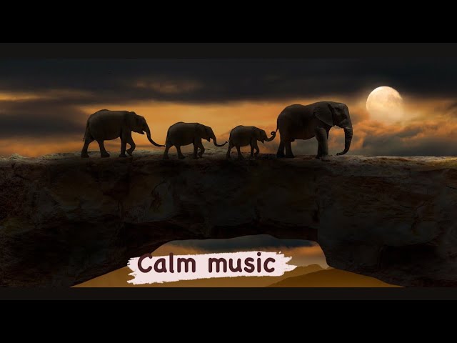 Meditation Music | Healing Music | Deep Sleep Meditation | Attract Positive Energy | Peaceful #Piano