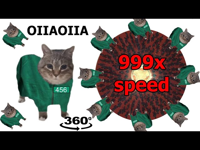 OIIAOIIA CAT x Mingle Game Song 999x Speed 360º