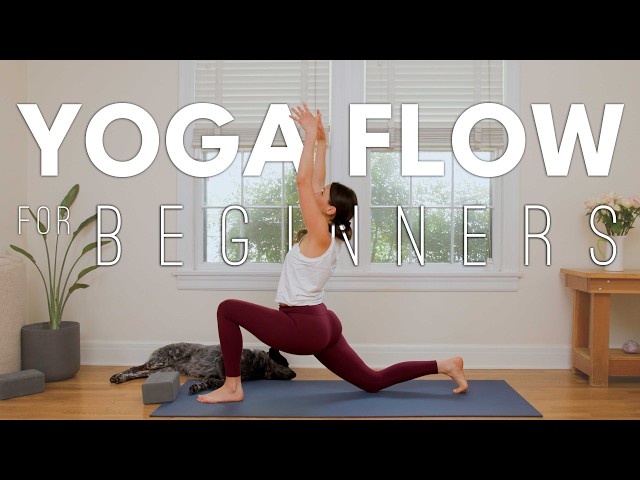 Yoga Flow For Beginners |  Intro To Flow