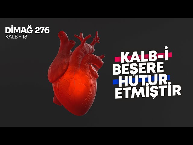 KALB-İ BEŞERE HUTUR ETMİŞTİR! | DİMAĞ-276 KALB-13