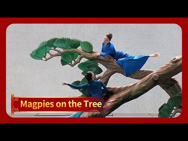 Magpies on the Tree | 2025 CMG Spring Festival Gala