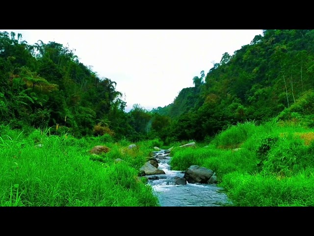 Relaxing River Sound relieve stress after a long day of work