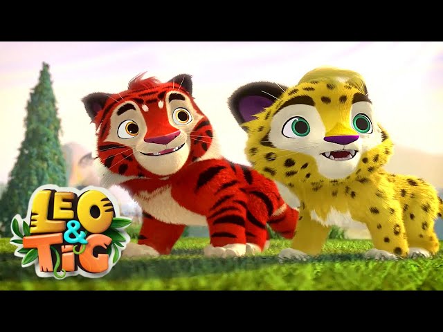 Leo and Tig 🦁 All episodes in row 🐯 Funny Family Animated Cartoon for Kids