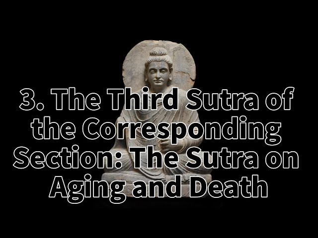 3. The Third Sutra of the Corresponding Section: The Sutra on Aging and Death.