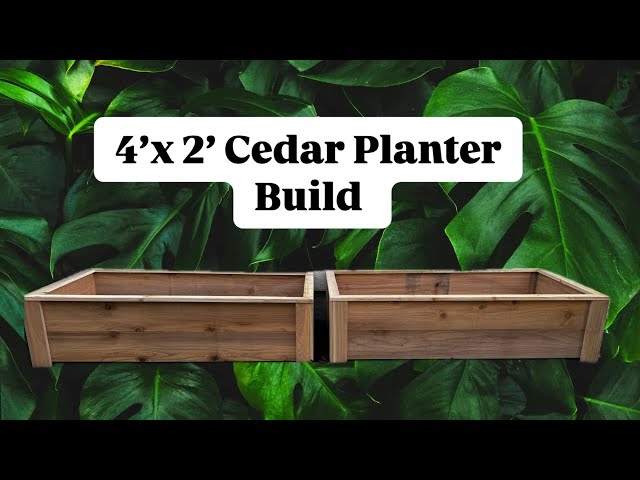 4’x2’ Cedar Planter DIY Build | Step by Step