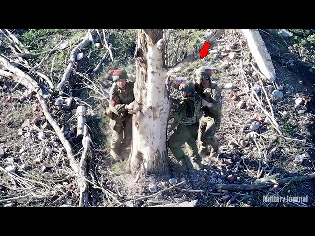 Ukrainian FPV drones brutally blowup North Korean soldiers as try sleeping in combat Kursk