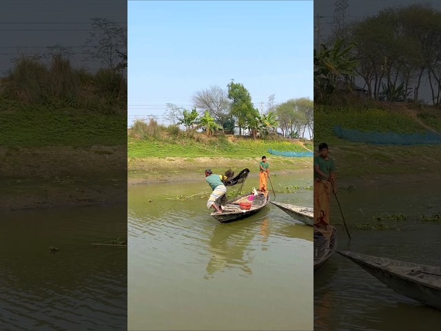 Cast Net Fishing in River #shorts