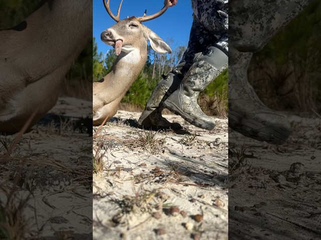 SITKA boots for the long drag 👍 #buck #deer #whitetail #deerhunting #bowhunting #sitka