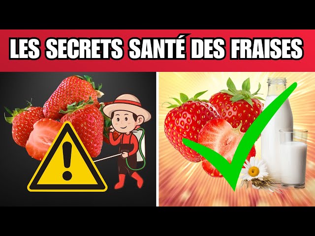 Les Fraises SONT-ELLES VRAIMENT BONNES pour Vous ? Découvrez la VÉRITÉ ! 🍓⚠️ #Santé #Nutrition