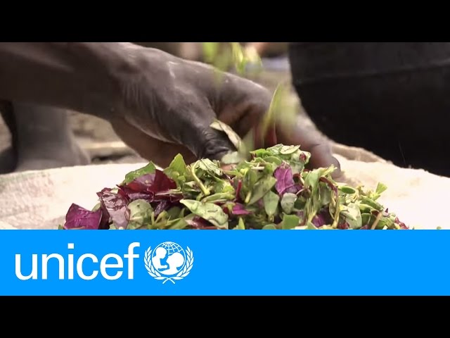 "We are eating grass because there is no food." – South Sudan | UNICEF