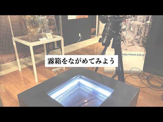 霧箱をながめてみよう！ 【#科学技術週間 #いっしょに科学を考える】