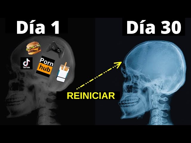 Cómo Reprogramar TU Mente Para el ÉXITO - Dr. Maxwell Maltz - Psico-cibernética