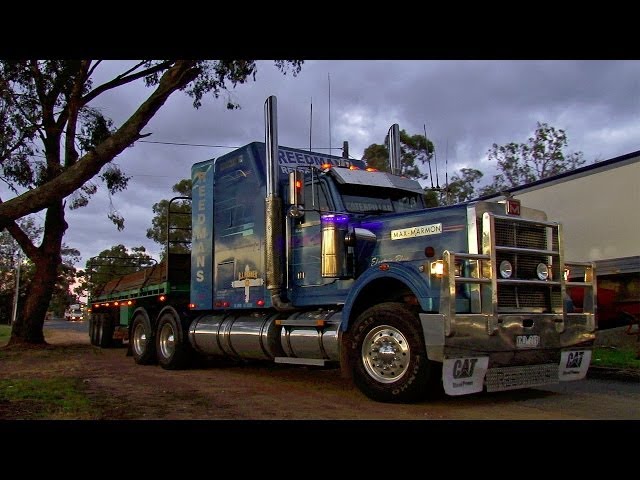 Reedmans Max Marmon "Electric Blue"