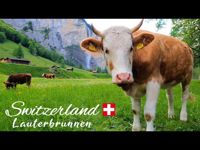 LAUTERBRUNNEN Village and Valley | Paradisiacal Switzerland | 4K UHD 60fps Video