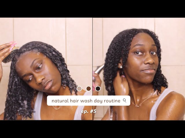 NATURAL HAIR WASH DAY ROUTINE | LANI DENISE