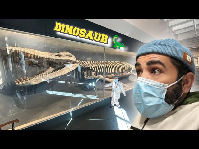 Biggest dinosaur 🦖 skeleton in Boston museum 🇺🇸