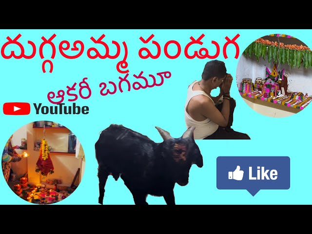 Durgamma Festival At My Mama’s Home Final Part|| #telanganafestival ||#durgammakolupu