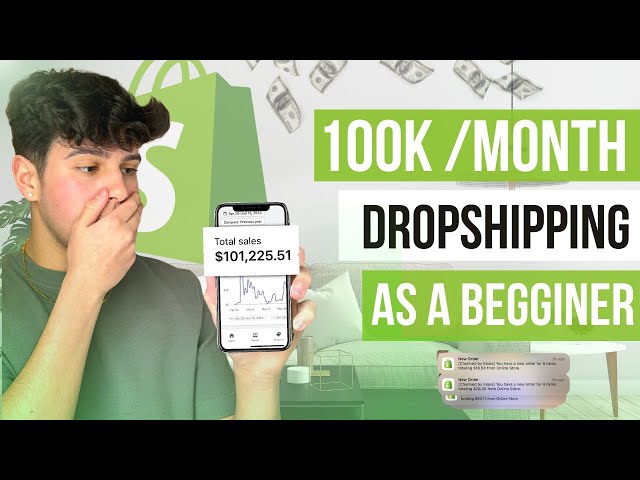 How I Made 100k/Month Dropshipping as a Begginer (18 years old)