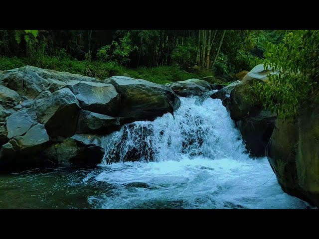 RELAXING RIVER SOUND 🌊 | PEACEFUL FOREST AMBIENCE TO IMPROVE MOOD & SLEEP