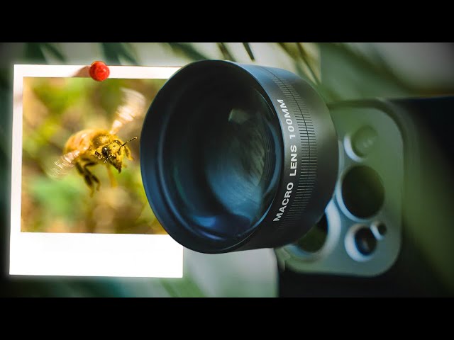 Macro Like a PRO? Sandmarc 100mm Macro Lens Review