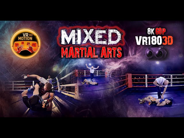 VR 3D FIGHT NIGHT  | MIXED MARTIAL ARTS | UNIOR