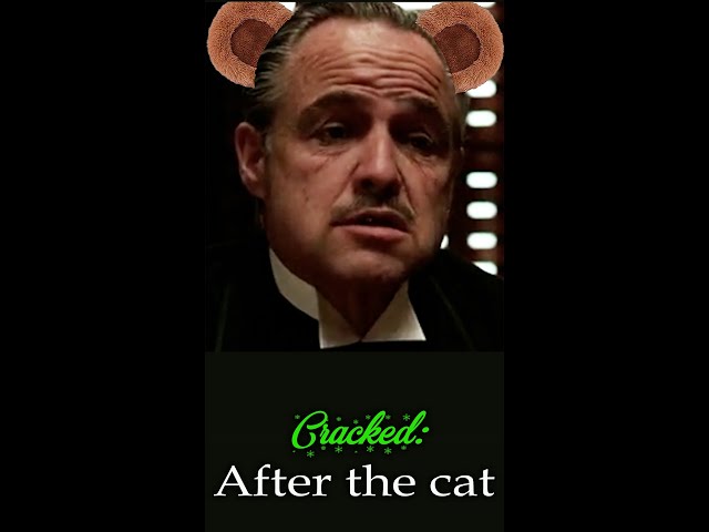 Cracked: Cat (E10) A Fast-Paced Spoof with Godfather Characters