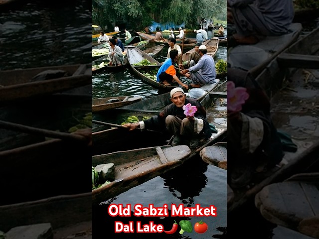 Old Sabzi Market Of DaLLake🌶🥦 || Old is Gold⭐️ #old #market #dallake #kashmir #gold#diamond #shorts