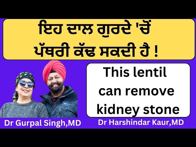 Kulthi dal ! ਇਹ ਦਾਲ ਗੁਰਦੇ ਵਿੱਚੋਂ ਪੱਥਰੀ ਕੱਢ ਸਕਦੀ ਹੈ !(365)