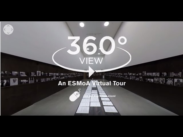 BRAIN 360°