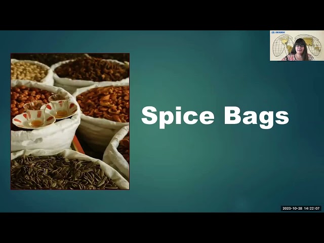 Basic English Vocabulary - Types of Bags - Lesson 2