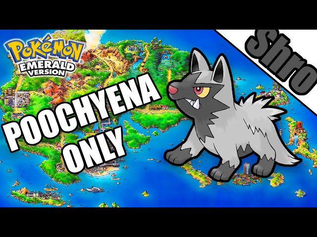 Can You Beat Pokemon Emerald With Only a Poochyena? -  Pokemon Challenge!