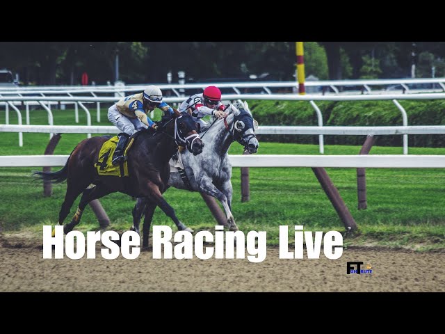 Horse Racing Live - January 18 2025