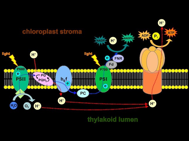 Z-scheme | Wikipedia audio article